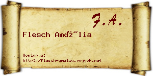 Flesch Amália névjegykártya