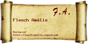 Flesch Amália névjegykártya